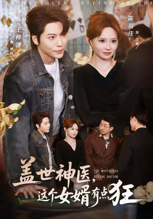 盖世神医，这个女婿有点狂（81集）爆火短剧推荐