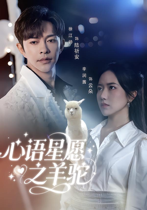 心语星愿之羊驼（60集）在线免费观影