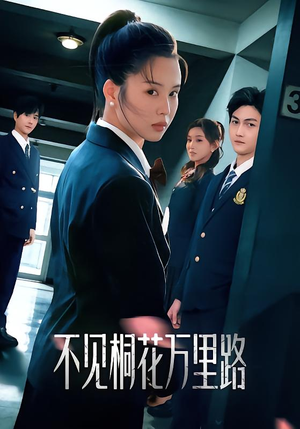 不见桐花万里路（71集）精彩短剧免费看