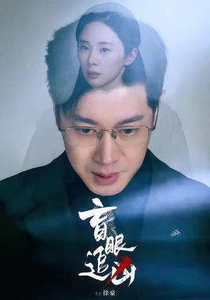 盲眼追凶（60集）全剧看到大结局