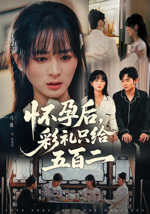 怀孕后，彩礼只给五百二（40集）解说文案