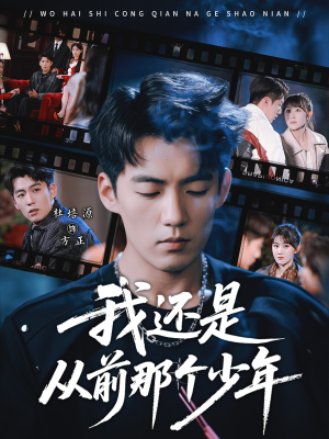我还是从前那个少年（65集）免费观看