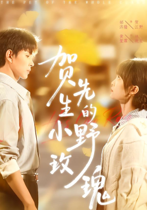 贺先生的小野玫瑰（99集）热门短剧推荐。