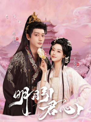 明月引君心(74集) 明月引君心(74集)高清画质免费看