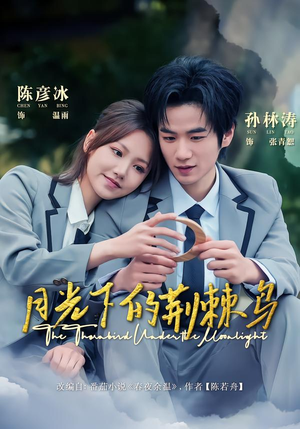 月光下的荆棘鸟(80集) 月光下的荆棘鸟(80集)番茄免费短剧