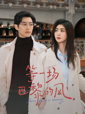 等一场巴黎的风（60集）免费看
