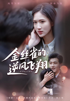 金丝雀的逆风飞翔(80集) 金丝雀的逆风飞翔(80集)短剧精彩不断