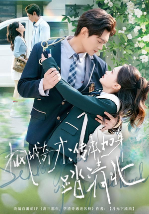 枫城奇才：传承加身踏清北（80集）短剧推荐更新中