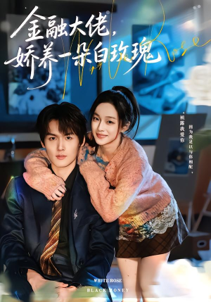 金融大佬，娇养一朵白玫瑰（70集）经典老剧免费看