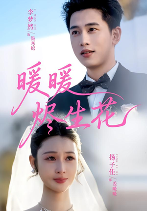 暖暖烬生花（65集）在线播放