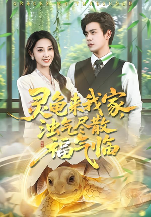 灵龟来我家，浊气尽散福气临（78集）恋爱短剧分享