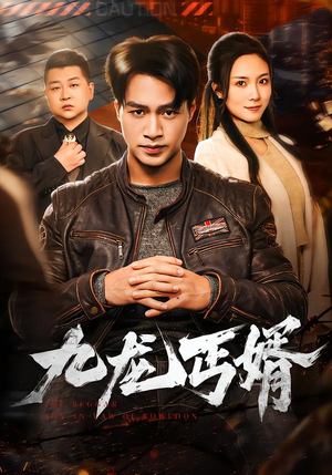 九龙丐婿(81集) 九龙丐婿(81集)免费观看