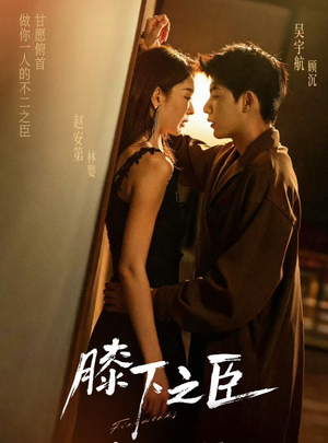 膝下之臣（56集）西瓜短剧免费看