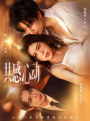 共感心动（66集）最新热剧免费看