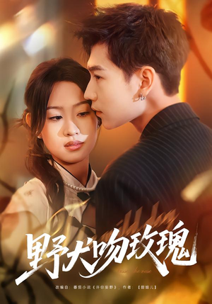 野犬吻玫瑰（70集）独家短剧免费看