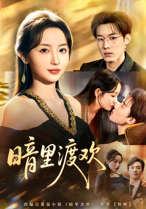 暗里渡欢（80集）无需会员轻松看