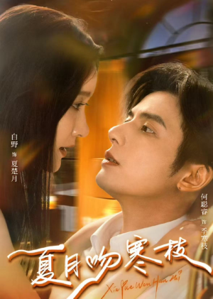 夏月吻寒枝（50集）大结局一气呵成