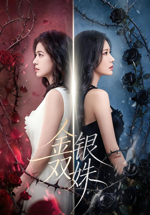金银双姝(80集) 金银双姝(80集)男主角是谁