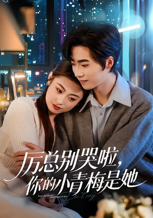 厉总别哭啦,你的小青梅是她(70集) 厉总别哭啦,你的小青梅是她(70集)短剧抢先看全集