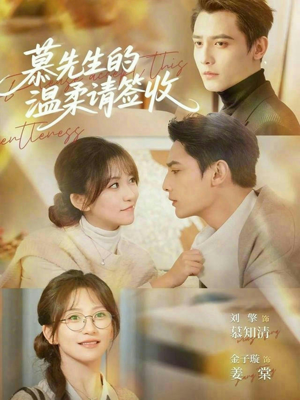 慕先生的温柔请签收（90集）免费短剧片段