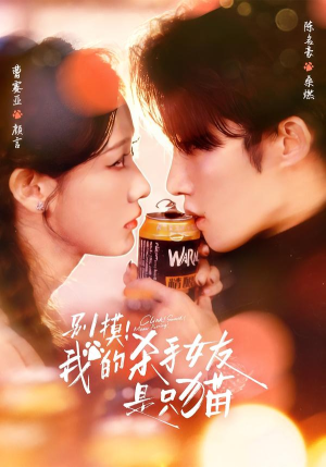 别摸！我的杀手女友是只猫（60集）好看上头的短剧