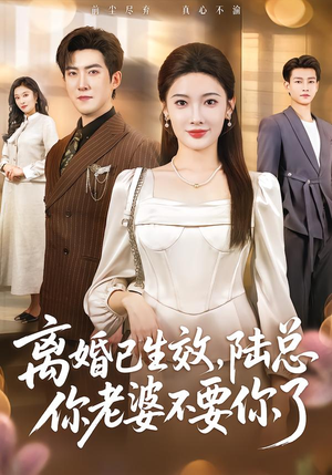 离婚已生效，陆总你老婆不要你了（61集）全部免费看全集