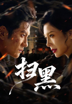 扫黑（70集）好看短剧又来了