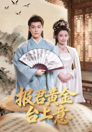 报君黄金台上意（100集）观看软件