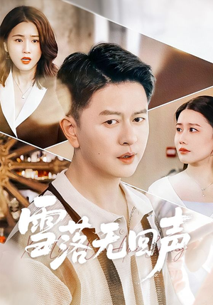 雪落无回声（60集）独家资源免费看