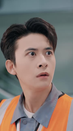 停飞后，我的航班坠毁了（100集）在线免费观影