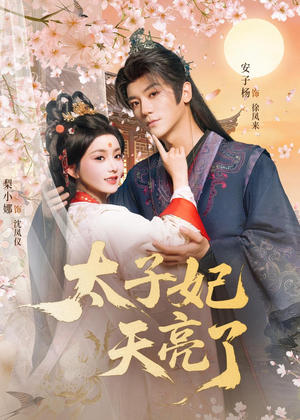 太子妃天亮了(80集) 太子妃天亮了(80集)在线观看全集