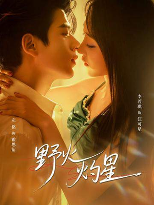 野火灼星(56集) 野火灼星(56集)大结局一气呵成