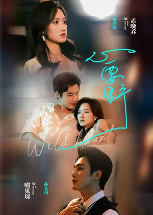 心要野（62集）热门短剧在线看