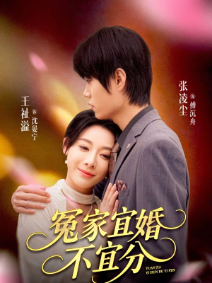 冤家宜婚不宜分（80集）精彩短剧看全集