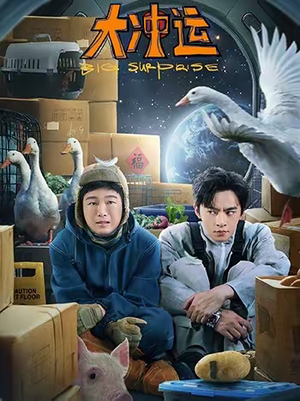 大冲运(16集) 大冲运(16集)百度网盘资源