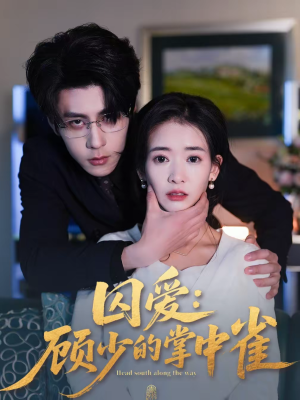 囚爱：顾少的掌中雀（70集）追短剧关注我