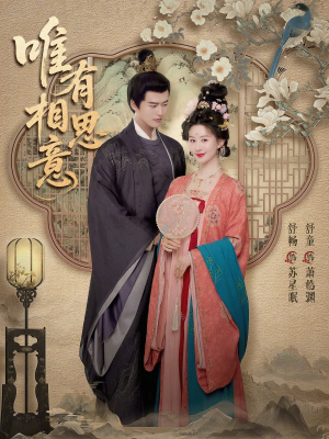 唯有相思意（100集）在线看