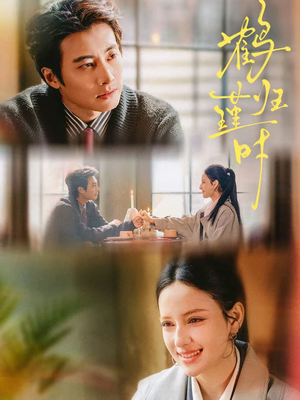 鹤归瑾时(81集) 鹤归瑾时(81集)让你一口气看完