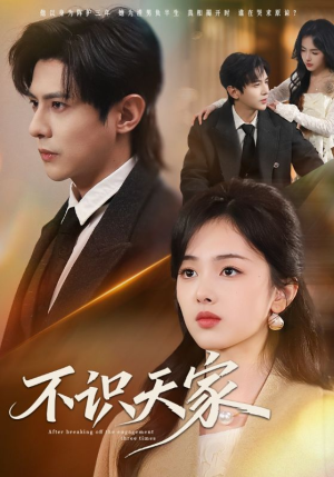 不识天家（69集）短剧越看越精彩