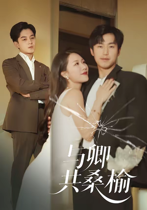 与卿共桑榆(63集) 与卿共桑榆(63集)短剧热播抢先看