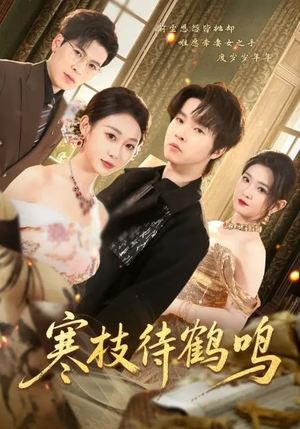 寒枝待鹤鸣（70集）最新热剧免费看