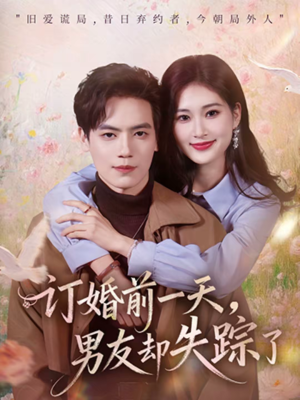 订婚前一天，男友却失踪了（60集）解说