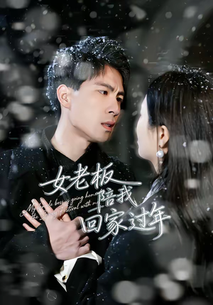 女老板陪我回家过年（40集）第一季