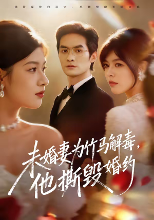 未婚妻为竹马解毒,他撕毁婚约(41集) 未婚妻为竹马解毒,他撕毁婚约(41集)完整版免费观看