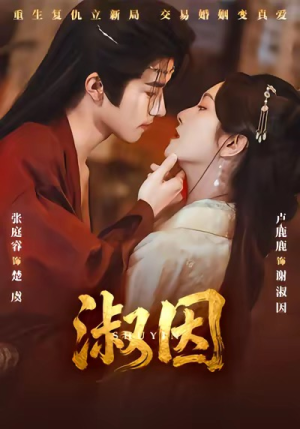 淑因（65集）精彩短剧抢先看