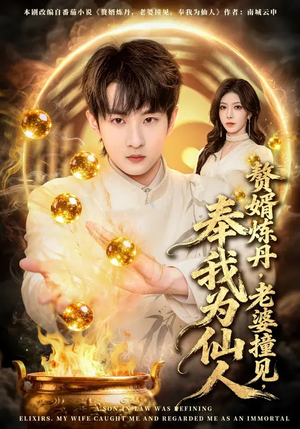 赘婿炼丹，老婆撞见，奉我为仙人（59集）好看短剧又来了