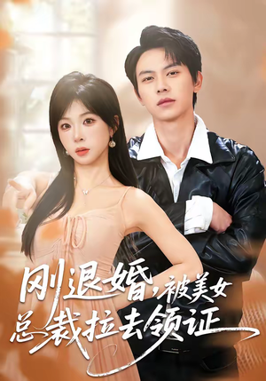刚退婚，被美女总裁拉去领证（81集）短剧在哪个平台