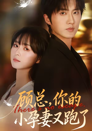 顾总,你的小孕妻又跑了(47集) 顾总,你的小孕妻又跑了(47集)独家内容免费看