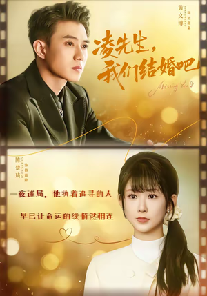 凌先生,我们结婚吧(68集) 凌先生,我们结婚吧(68集)短剧在线看