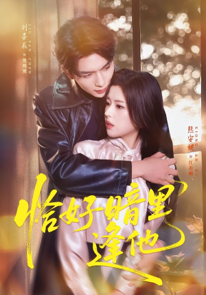 恰好暗里逢他（66集）短剧分享剧集